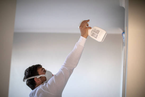 Best Black Mold Remediation in Lakewood Park, TN