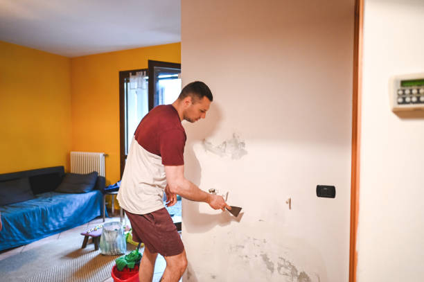 Best Attic Mold Remediation in Lakewood Park, TN